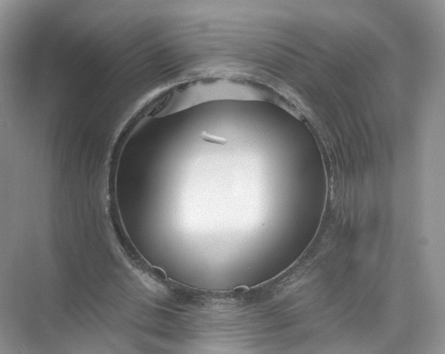 X0000073860438200608312031