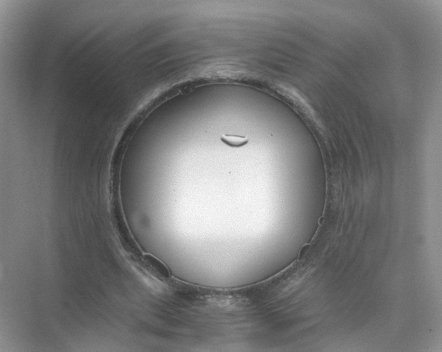 X0000073860439200608312031