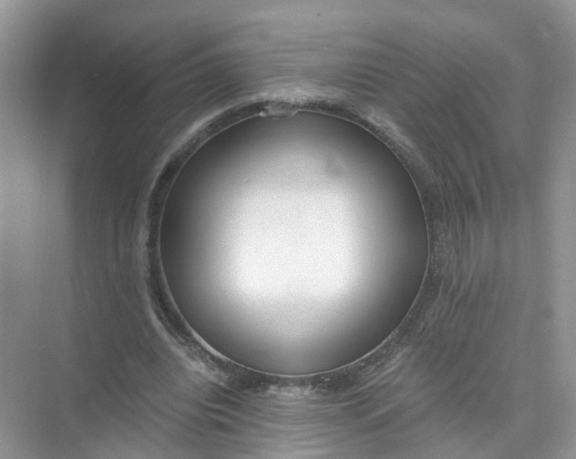 X0000073860440200608312031