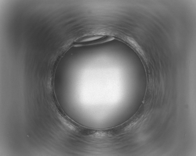 X0000073860441200608312031