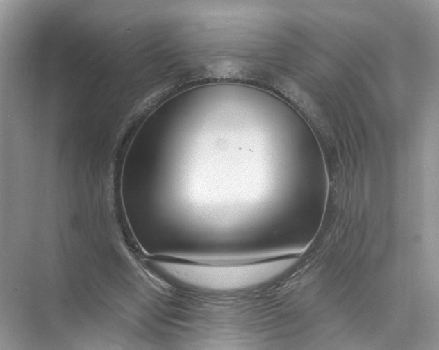 X0000073860442200608312031