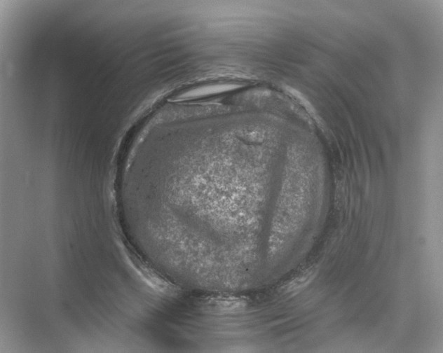 X0000073860443200608312031