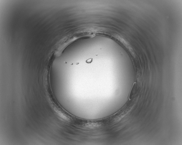 X0000073860445200608312031