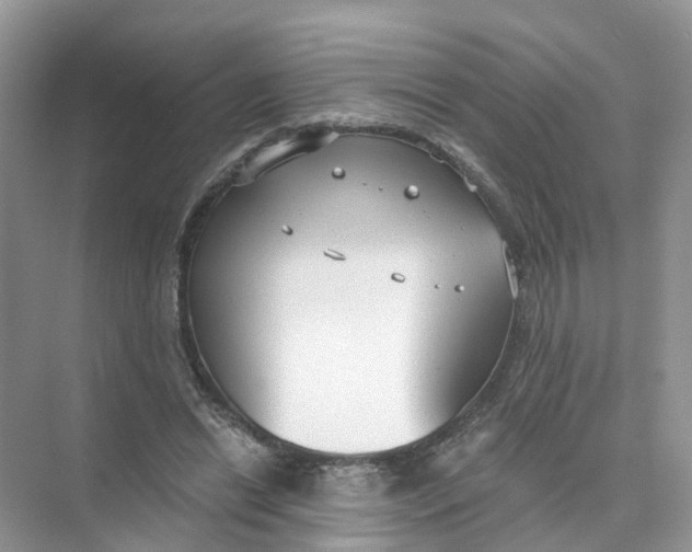 X0000073860446200608312031