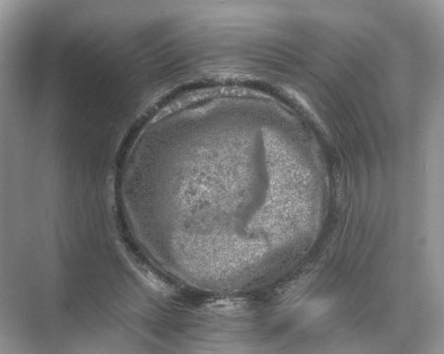 X0000073860447200608312031