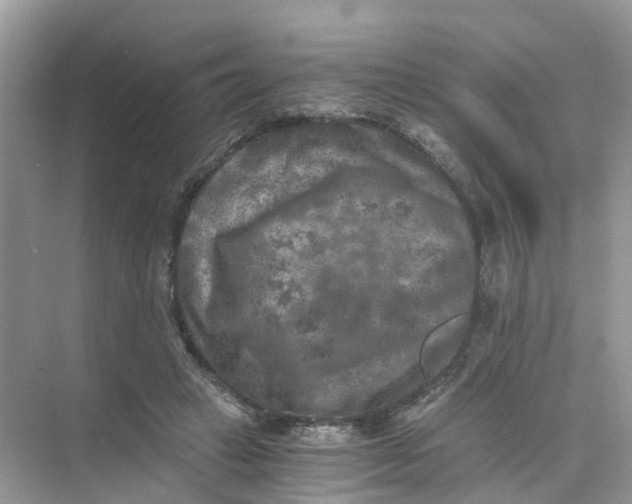 X0000073860449200608312031