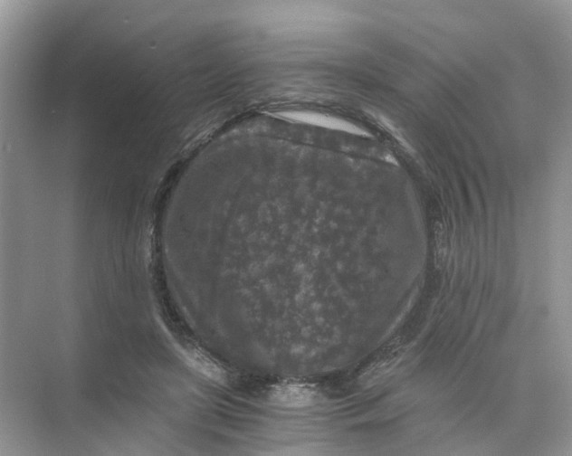 X0000073860451200608312031