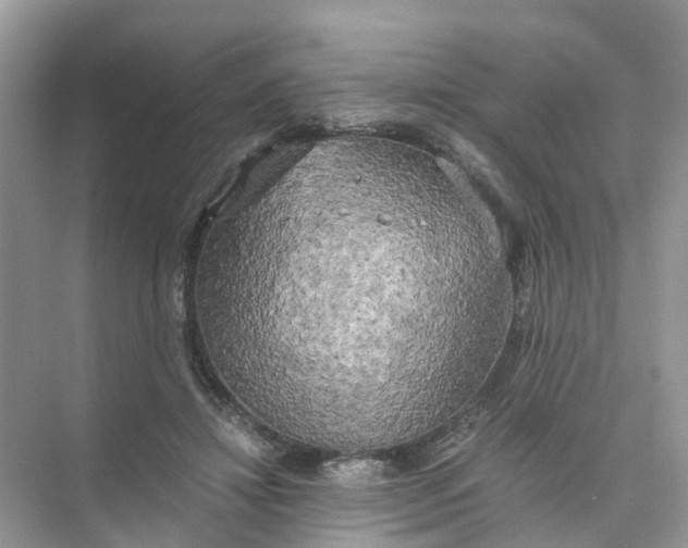 X0000073860452200608312031