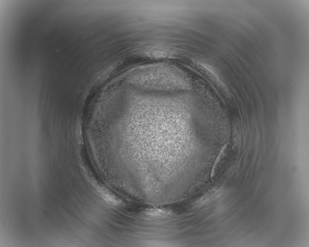 X0000073860453200608312031