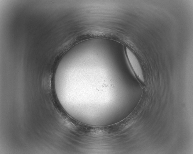 X0000073860454200608312031