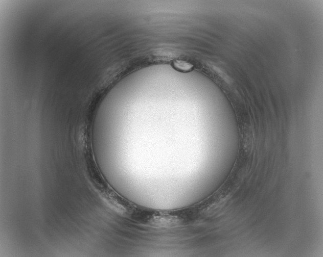 X0000073860455200608312031