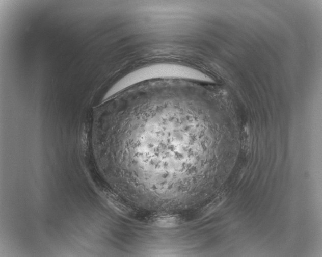 X0000073860456200608312031