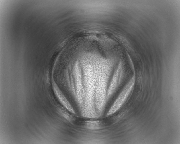 X0000073860457200608312031