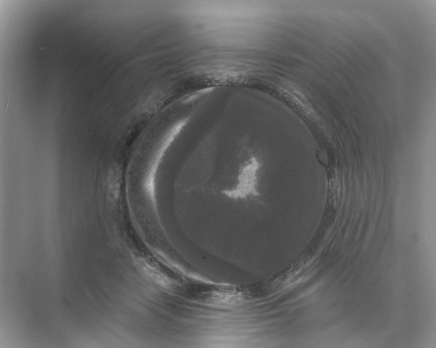 X0000073860458200608312031