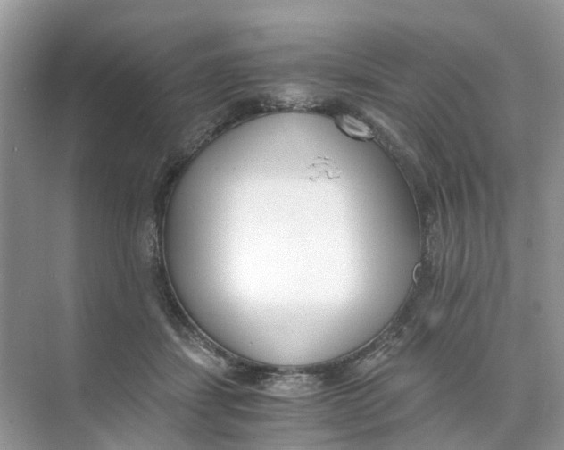 X0000073860459200608312031