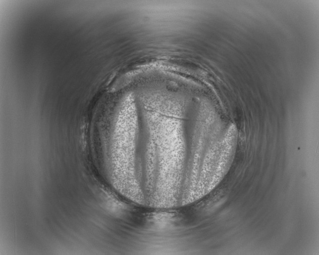 X0000073860462200608312031