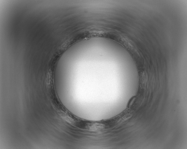 X0000073860463200608312031