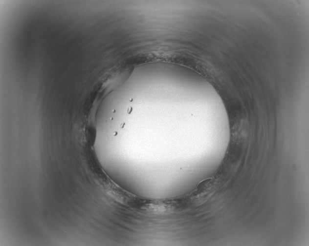 X0000073860464200608312031