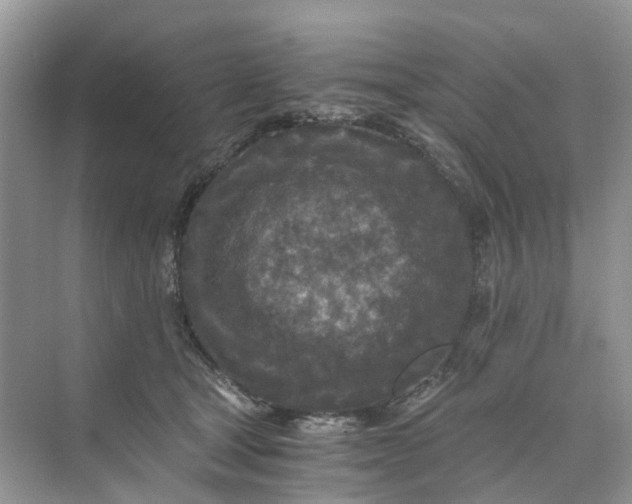 X0000073860465200608312031