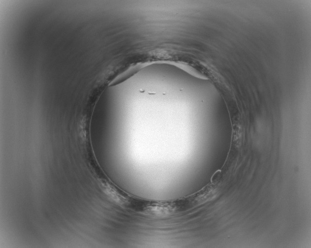 X0000073860466200608312031