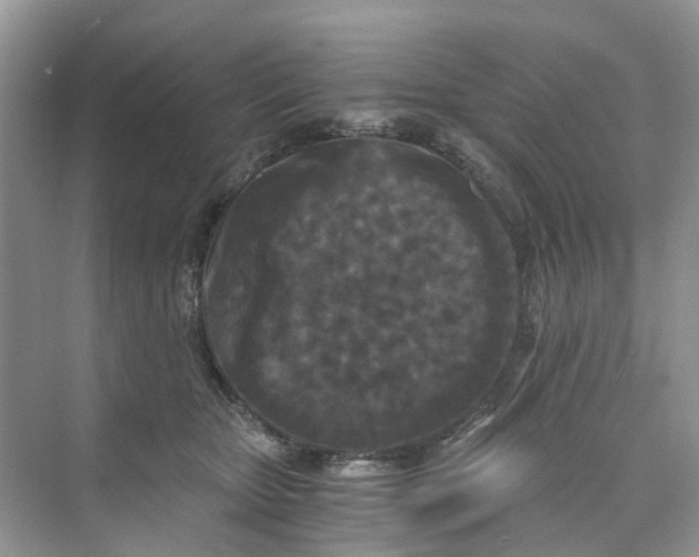 X0000073860467200608312031