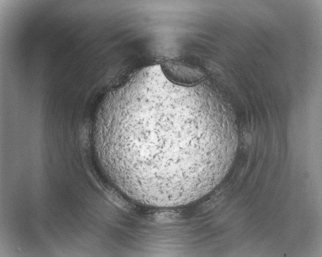 X0000073860468200608312031