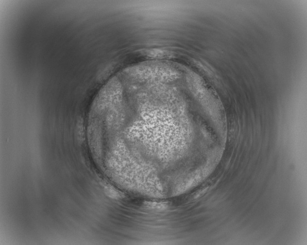 X0000073860469200608312031