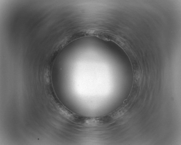 X0000073860470200608312031