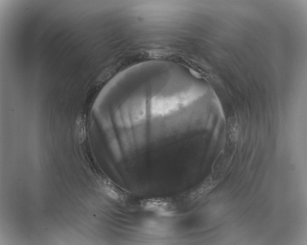 X0000073860471200608312031