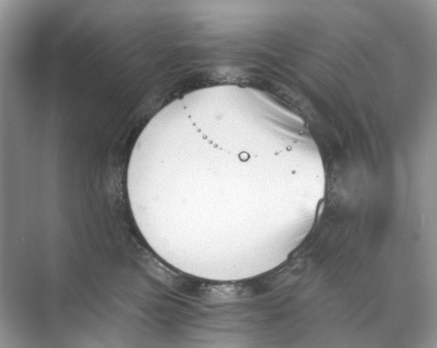 X0000073860473200608312031