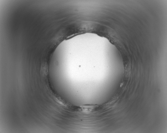 X0000073860474200608312031