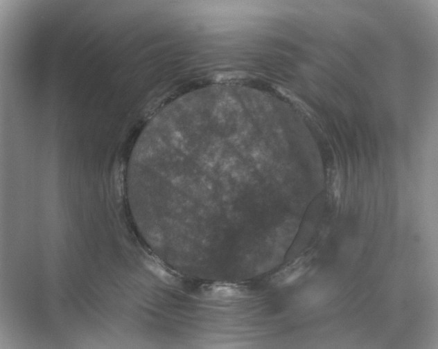 X0000073860475200608312031