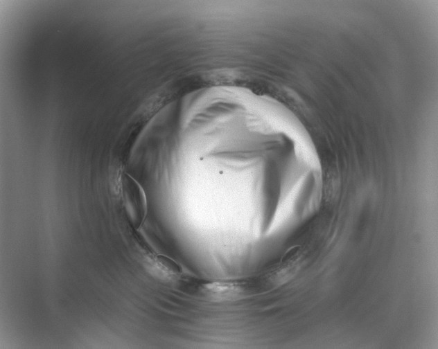 X0000073860477200608312031