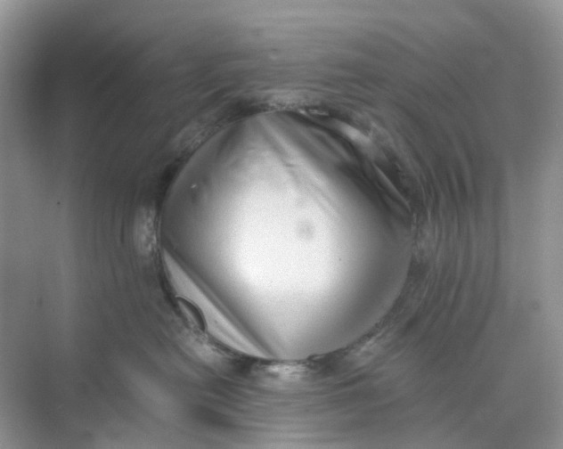 X0000073860478200608312031