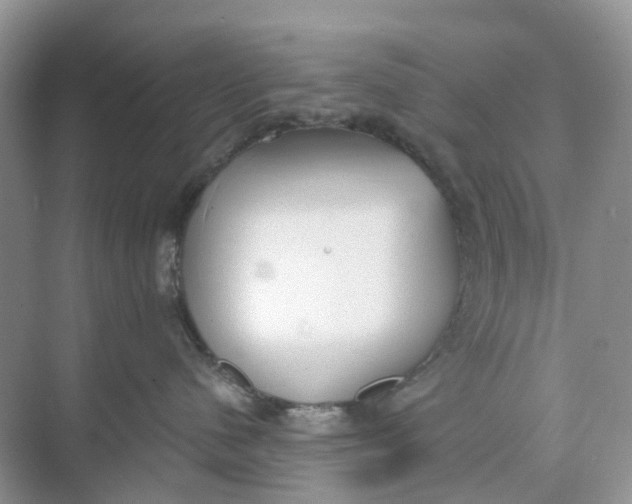 X0000073860480200608312031