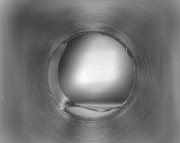 X0000073860481200608312030