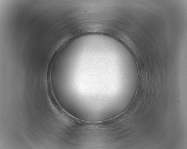 X0000073860482200608312030