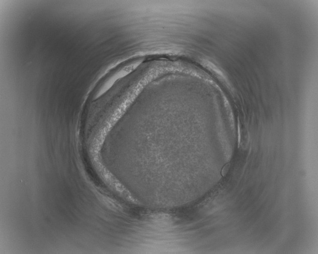 X0000073860483200608312030