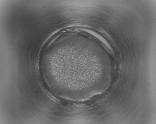 X0000073860484200608312030