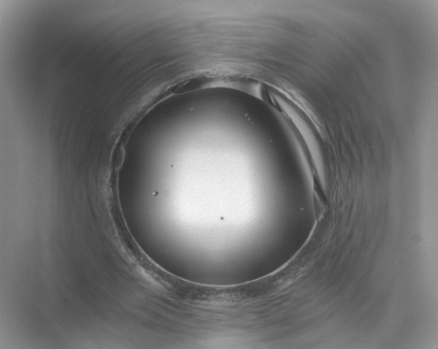 X0000073860485200608312030