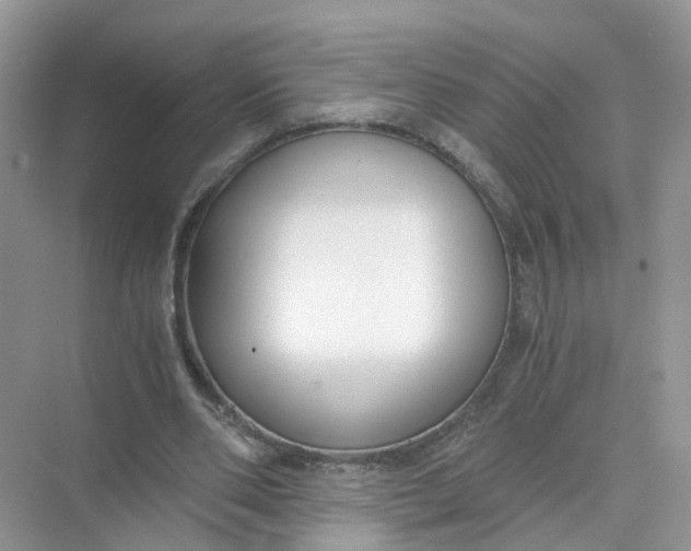 X0000073860486200608312030