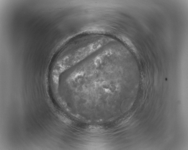 X0000073860487200608312030