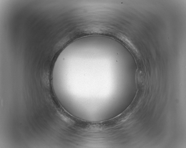 X0000073860489200608312030