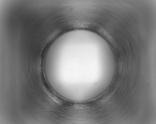 X0000073860490200608312030