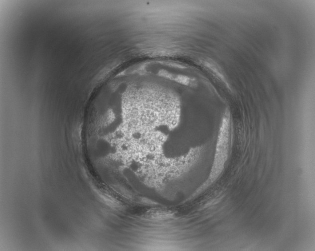 X0000073860491200608312030