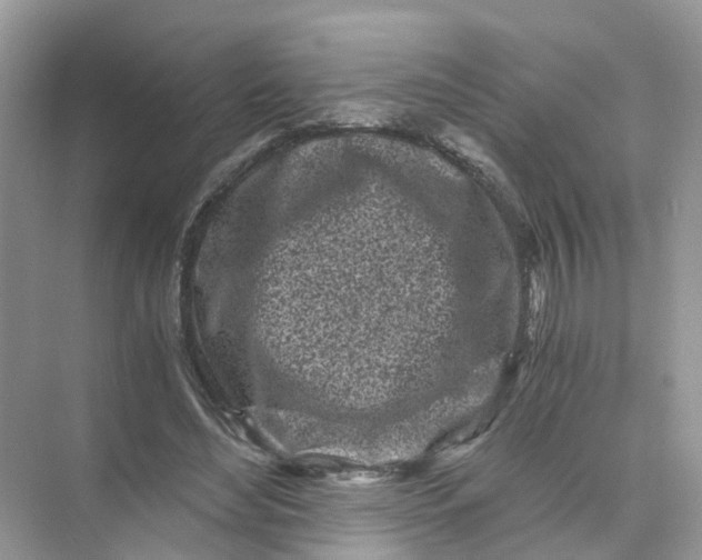 X0000073860492200608312030