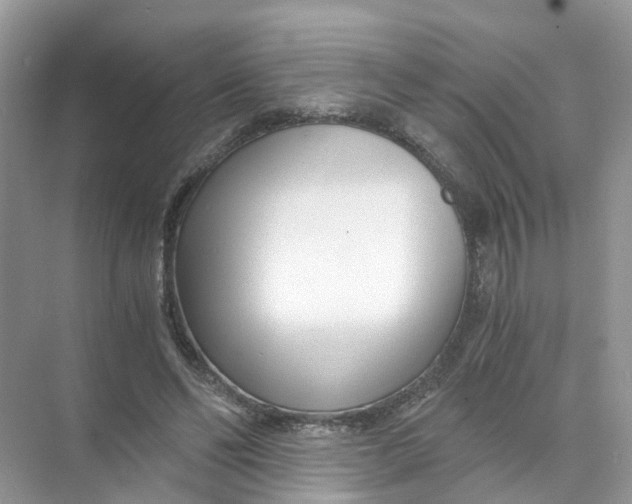 X0000073860494200608312030