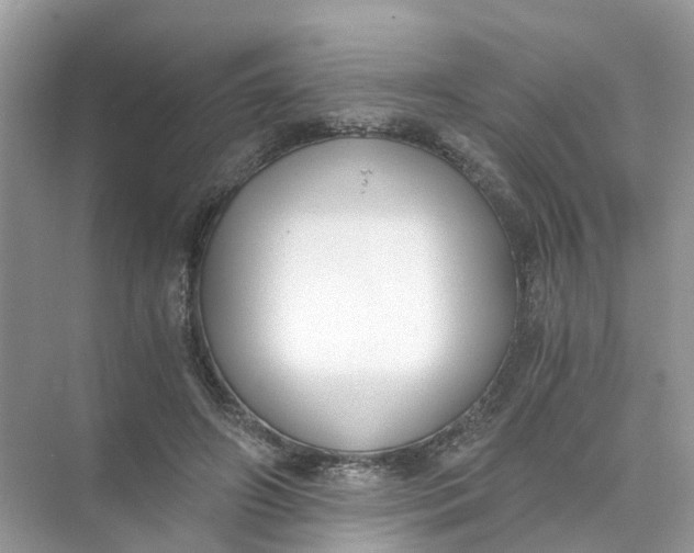 X0000073860498200608312030