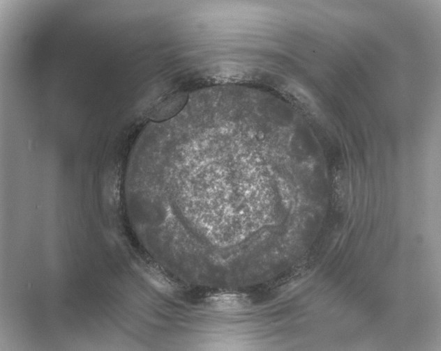 X0000073860499200608312030