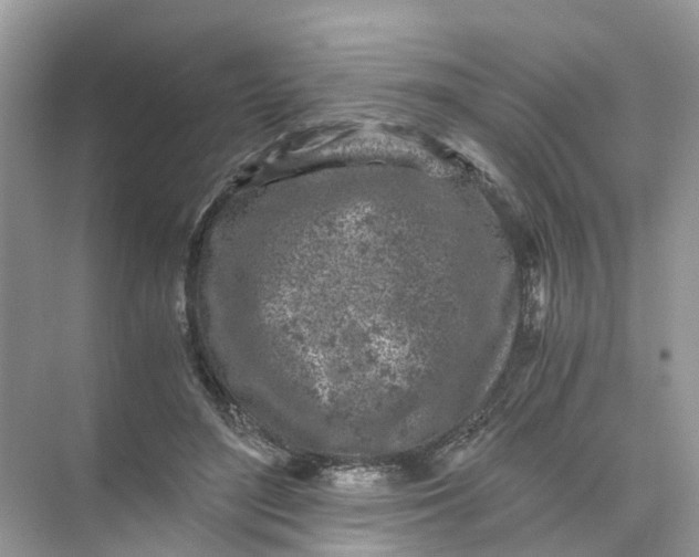 X0000073860500200608312030